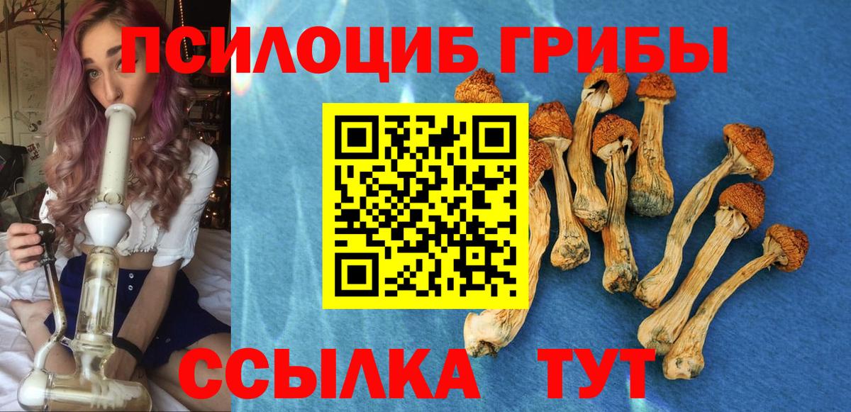 Псилоцибиновые грибы мицелий  Вход с VPN  Камышлов 