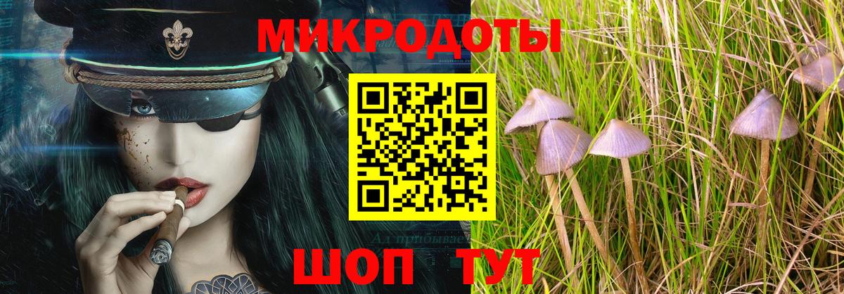 Псилоцибиновые грибы Psilocybine cubensis Камышлов